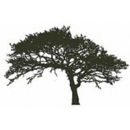 Encaustic Art stempel - boom (eik)